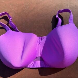 Cacique Vibrant Purple Bra size 40H